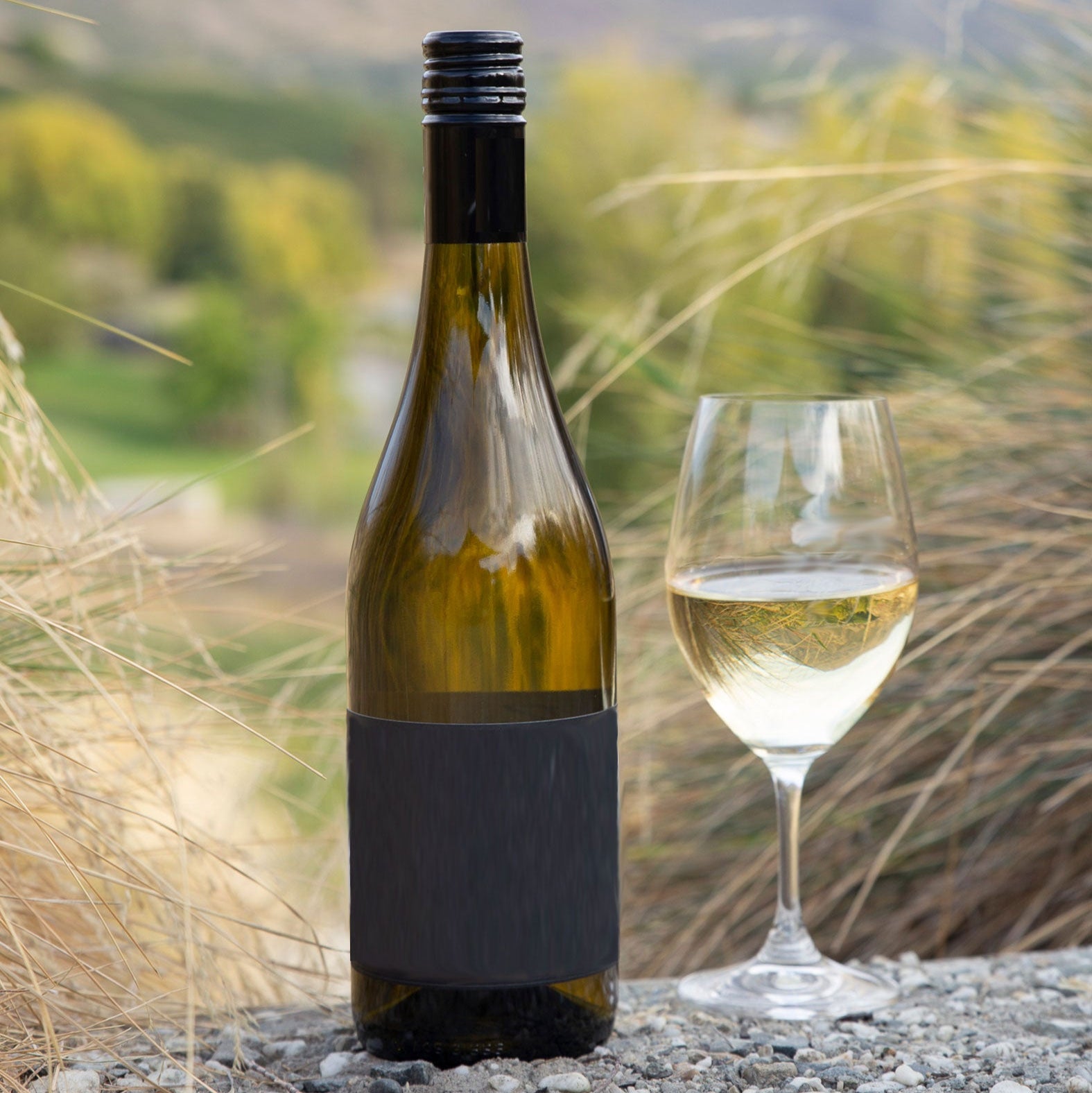 Mystery Chardonnay