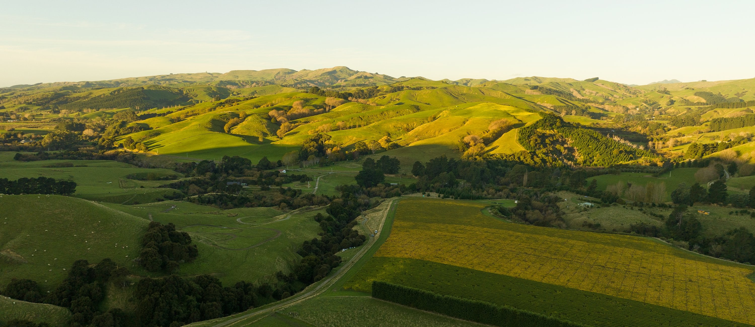 Martinborough